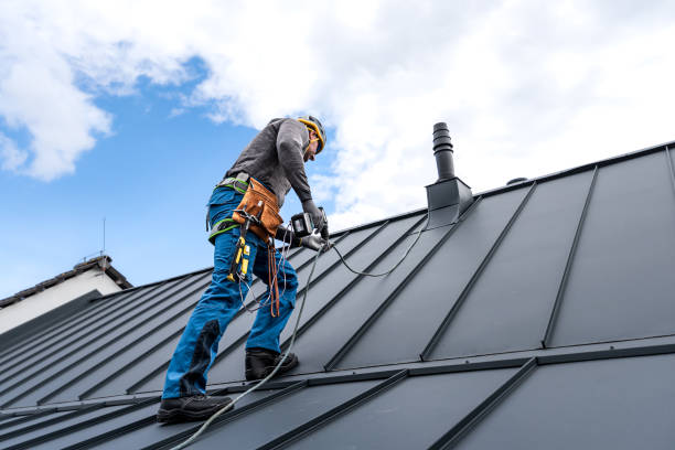 Best Steel Roofing  in Rayville, LA